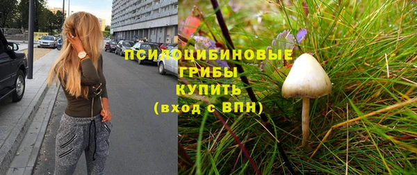 спиды Бородино