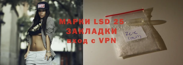 спиды Бородино