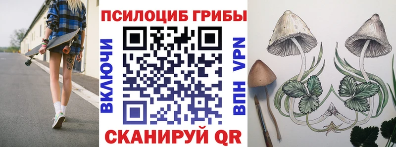Купить  Неман  Галлюциногенные грибы Magic Shrooms 